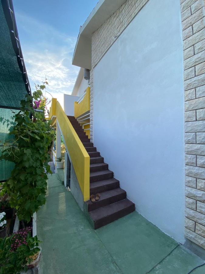 Apartment Elena Donji Okrug  Exterior photo